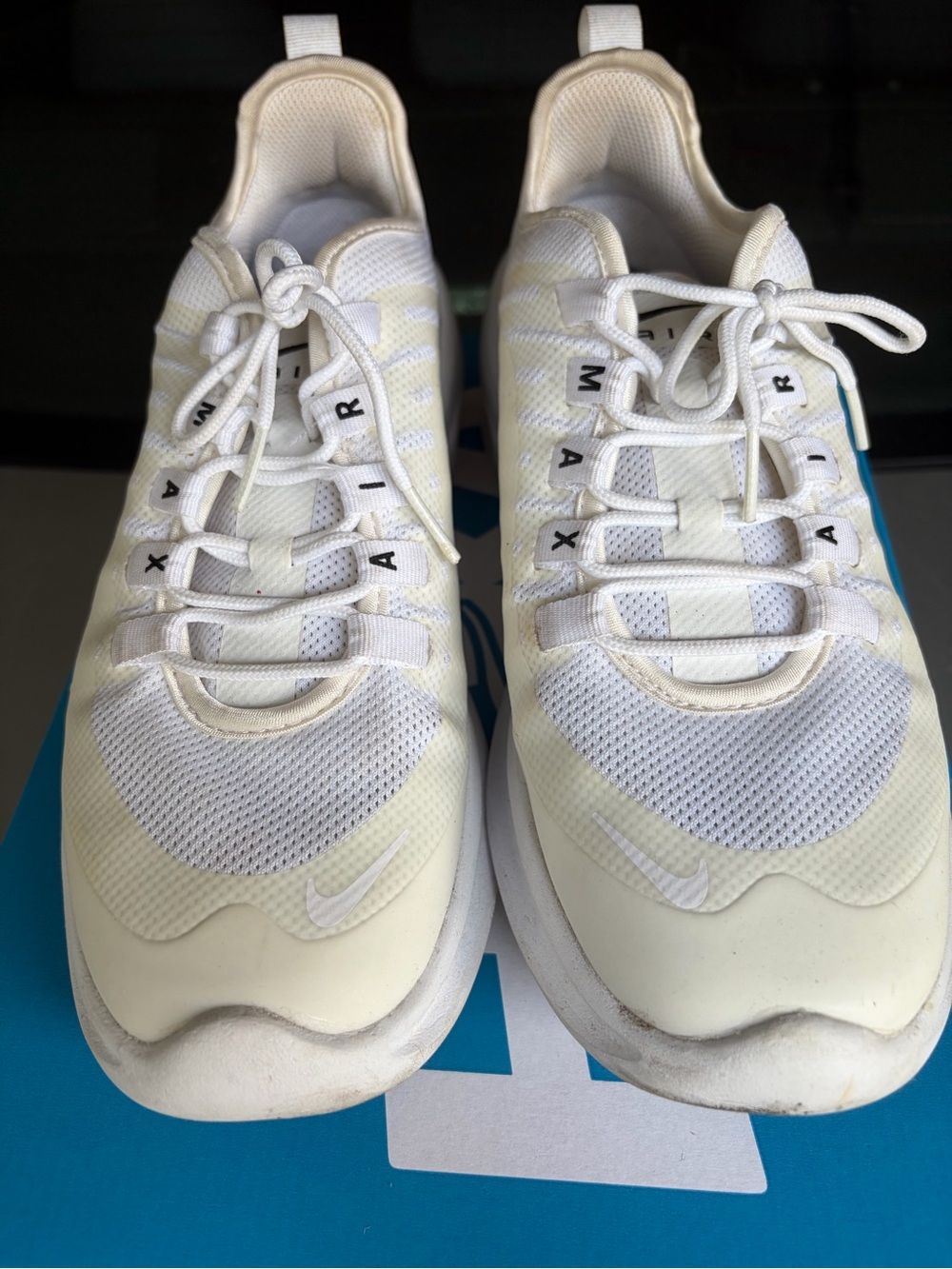 Nike Air Max Women’s shoes
